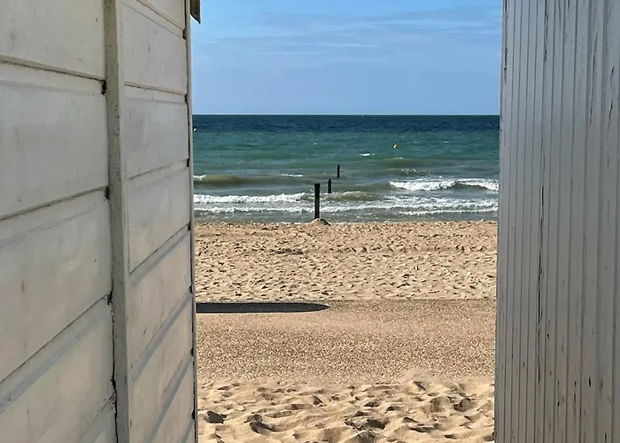 Le Petit Nid De Katia *