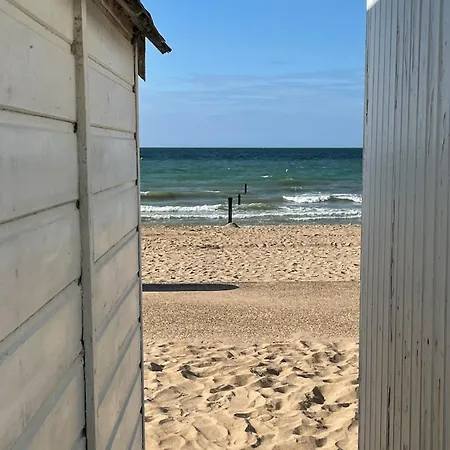 Le Petit Nid De Katia *